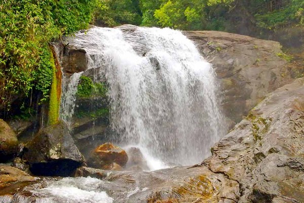 Munnar Tour Packages