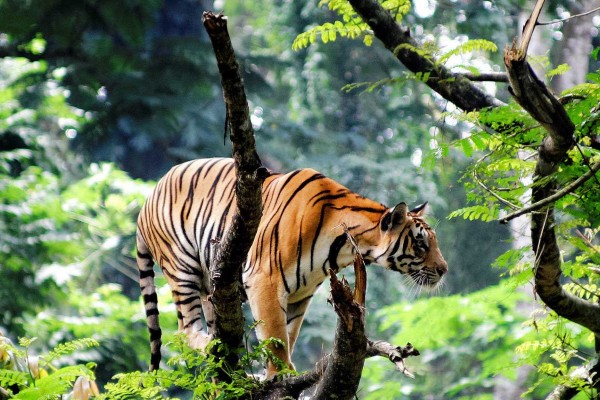 Picturesque Vacation