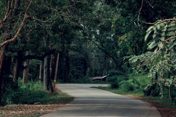 Wayanad Tour Packages